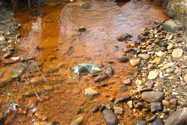 Orange deposits (slime) or sheen: Associated with iron-oxidizing bacteria.