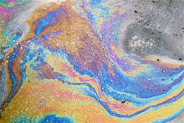 A rainbow sheen can result from iron-oxidizing bacteria or from petroleum. To differentiate, trail a stick through the film. It it readily breaks up, it’s most likely bacteria. If it swirls together, it’s most likely petroleum and should be reported.