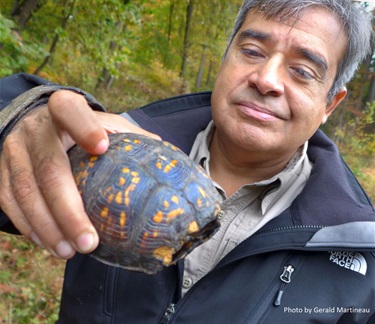 County Staff Alonso Abugattas with rescued box turtle