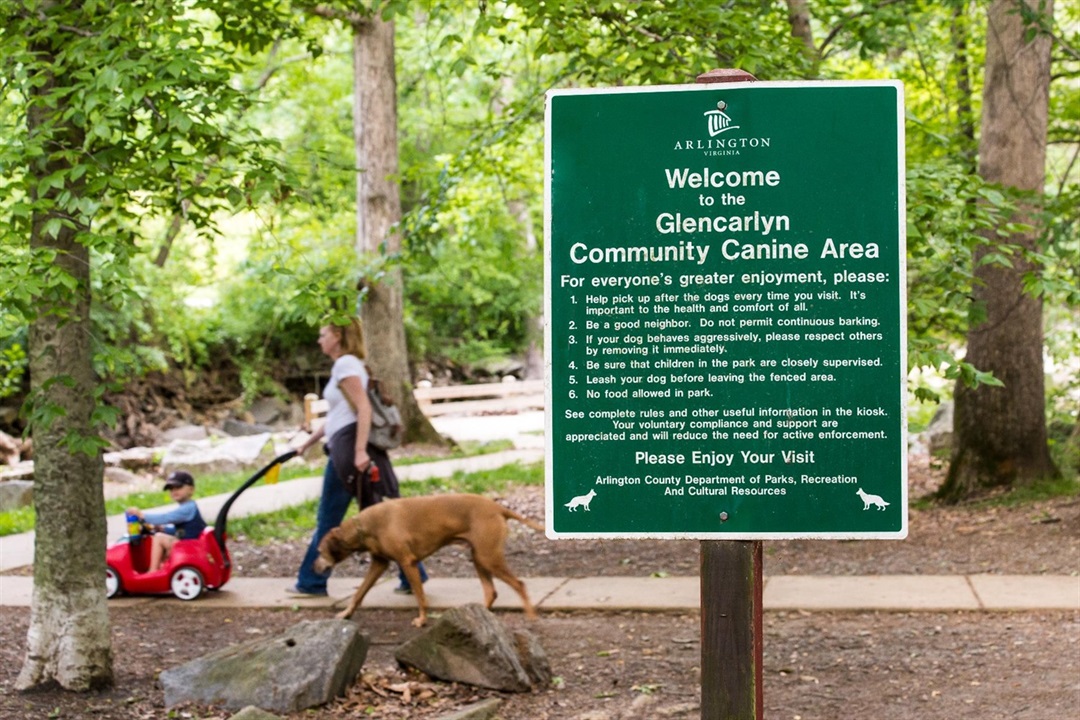 are children allowed in dog parks