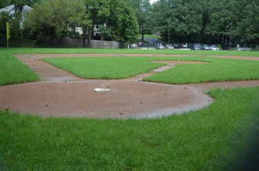 Baseball or Softball Field