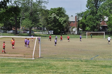 Soccer Field