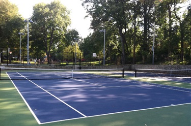 Lyon Village Park Tennis Courts