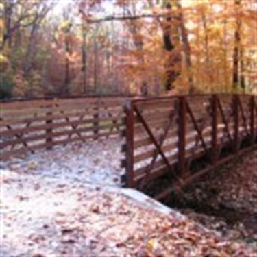 Pedestrian Bridge/Donaldson Run