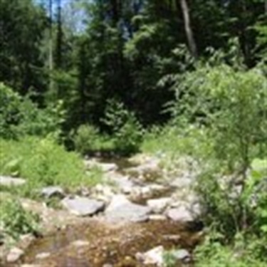 Stream restoration at Donaldson Run