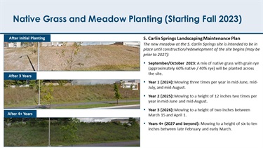 Native grass and meadow planting plan