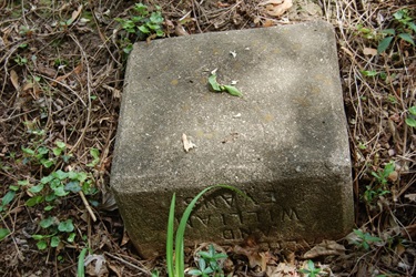 Calloway grave