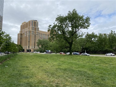 New Park at South Eads Street and Army Navy Drive