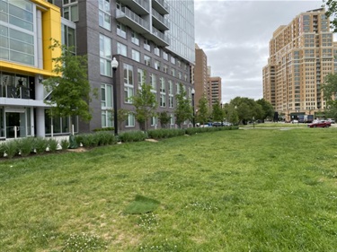 New Park at South Eads Street and Army Navy Drive