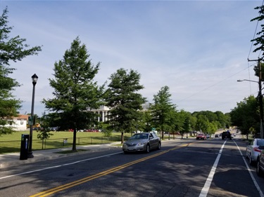 Existing painted bike and travel lanes on Quincy Street near WL High School.