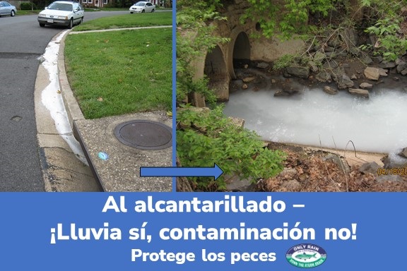 2 Lluvia si, contaminacion no.JPG