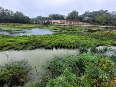 The retrofitted wetland system improves stormwater flow and filtering