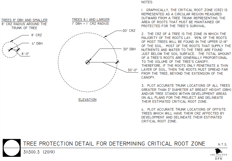 Critical root zone