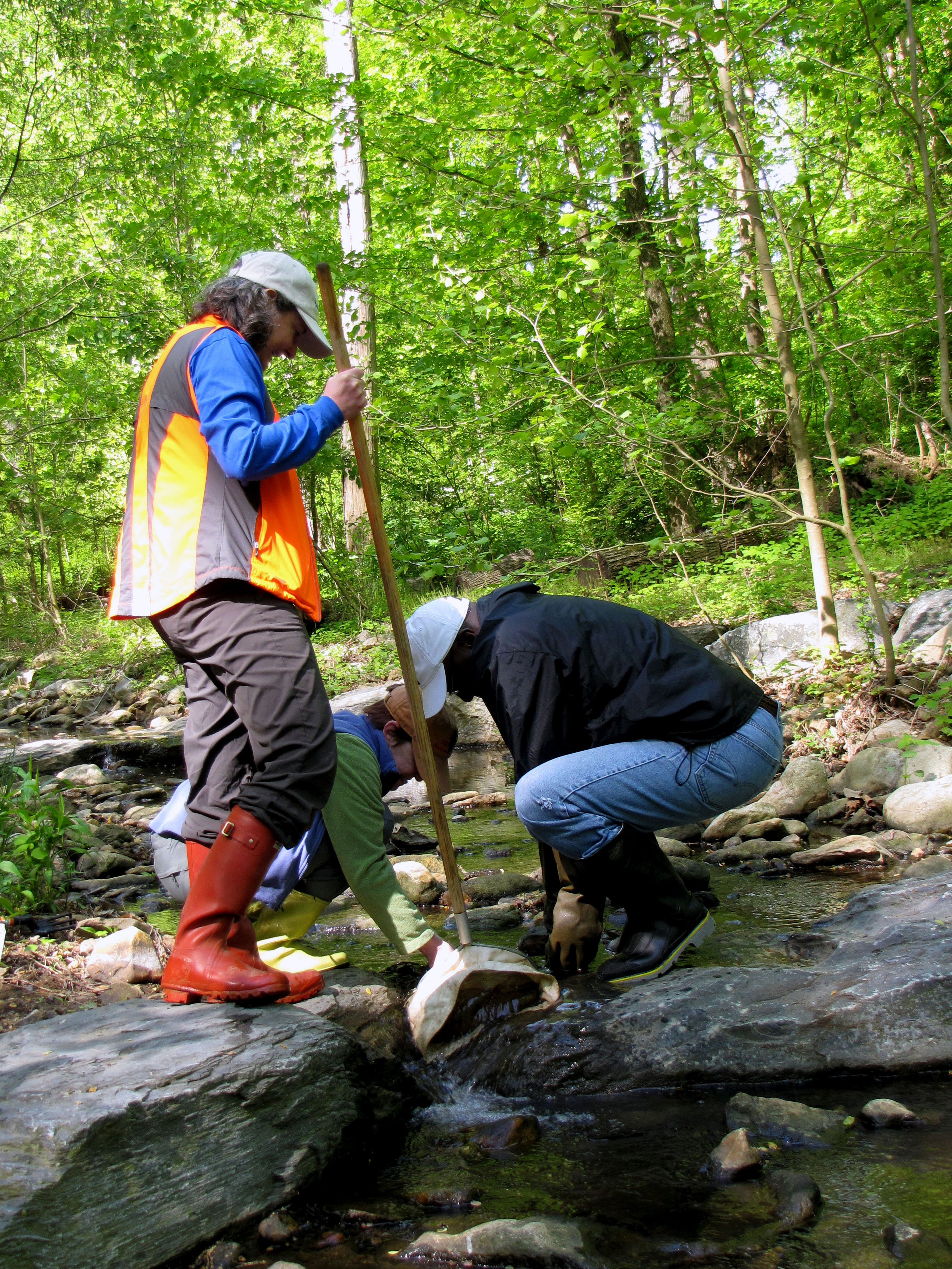 Donaldson Run Stream Monitors