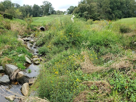 golf-course-stream.jpg