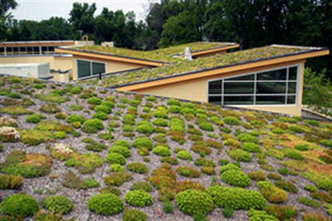 A house with a green roof garden