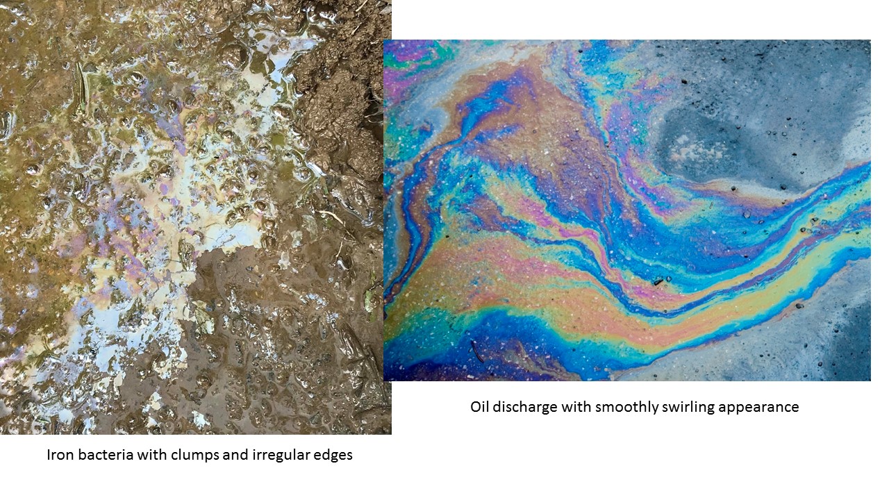 Iron bacteria vs oil