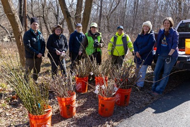 Seven happy volunteers and staff stand behind seven full buckets of harvested live stakes