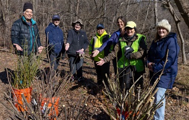 Volunteers and staff gesture to the full buckets of live stakes