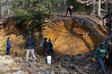 Working from above and below a steep eroding stream bank