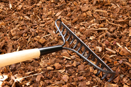 Spreading mulch with a rake