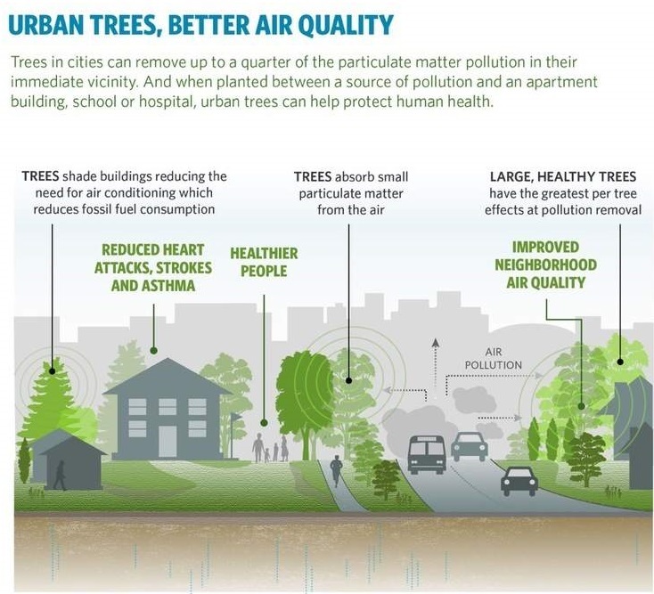 Trees Improve Air Quality (Source: Nature Conservancy)