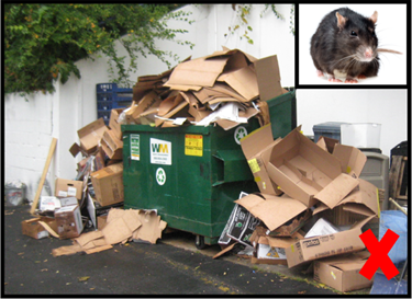 Overflowing dumpster