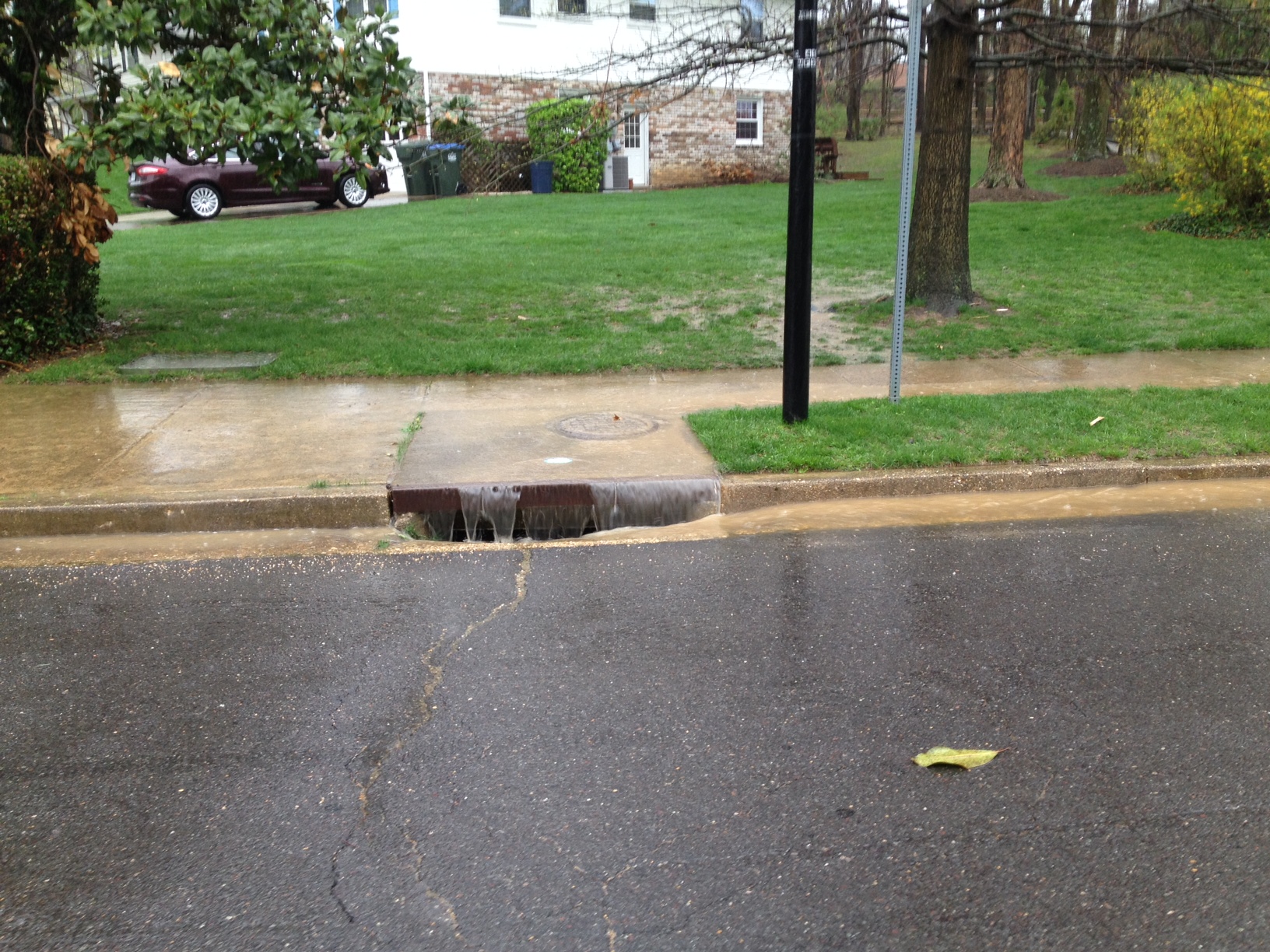 Storm drain with rain