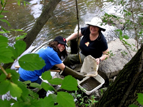 Volunteer stream monitors wade into an Arlington stream.