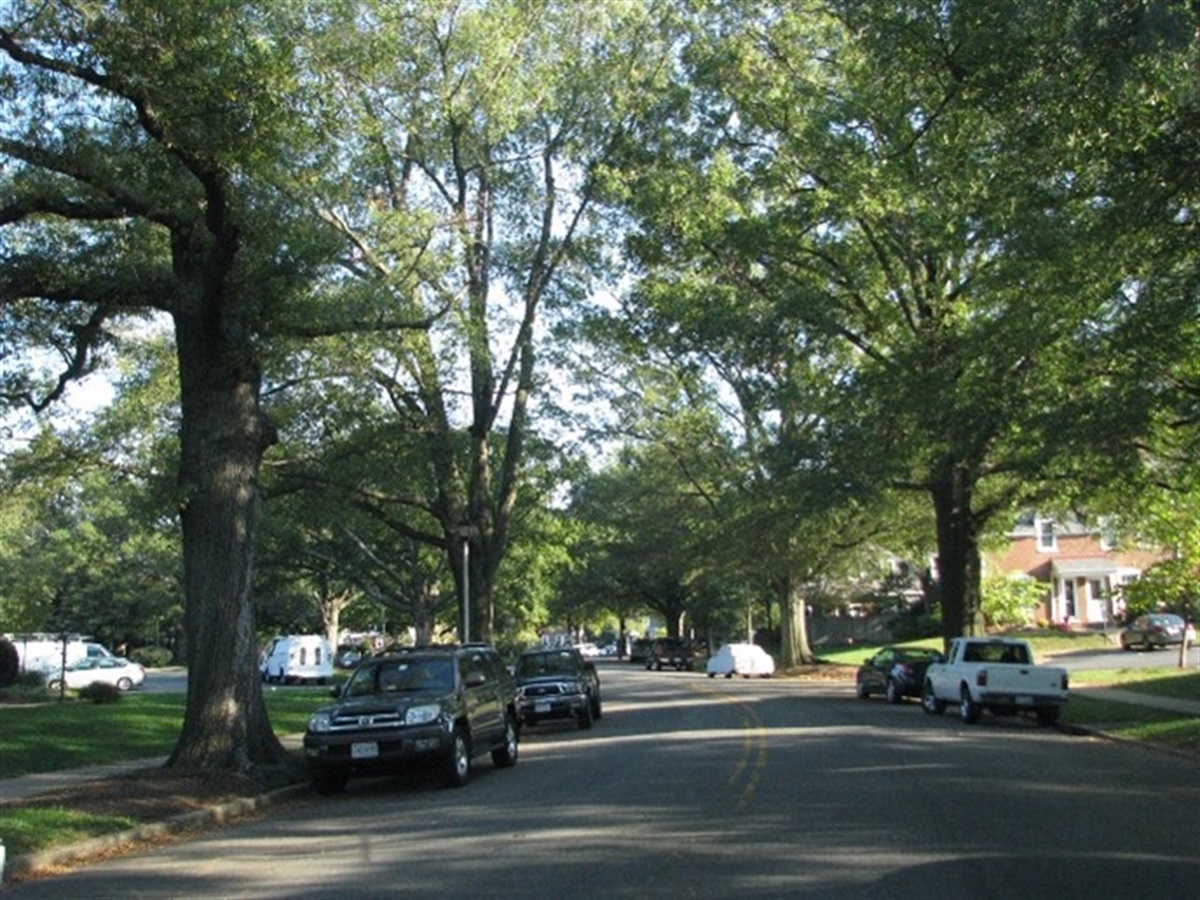 Circuit Tree Maintenance – Official Website of Arlington County ...