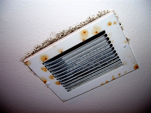 mold-on-air-vent.jpeg