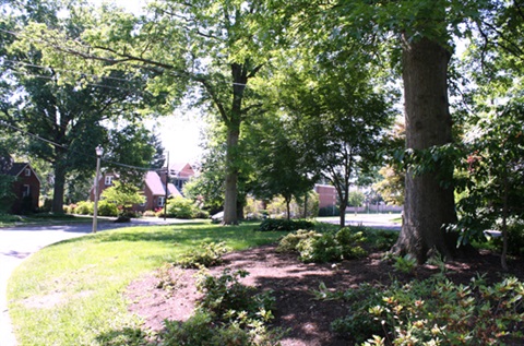 Landscape at 21st St N & N Potomac St Park