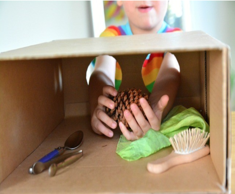 Mystery Sensory Box