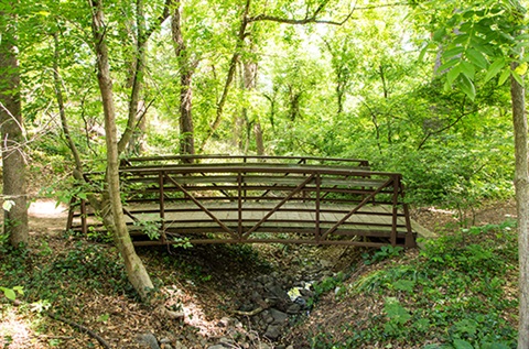 Bridge amongst scenic woodlands