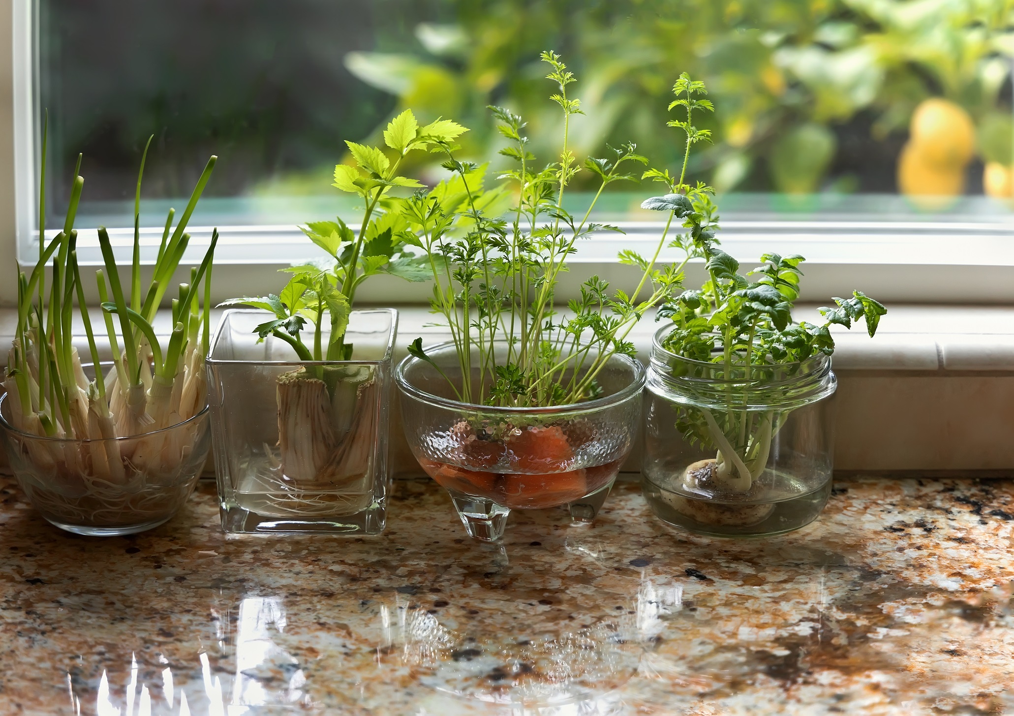 Herb Garden