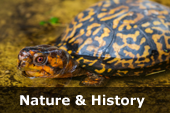 Nature & History Virtual Archive