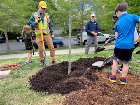 people planting a tree.jpg