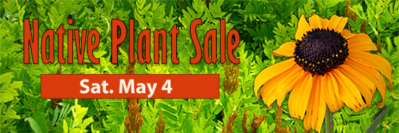 plant sale.png