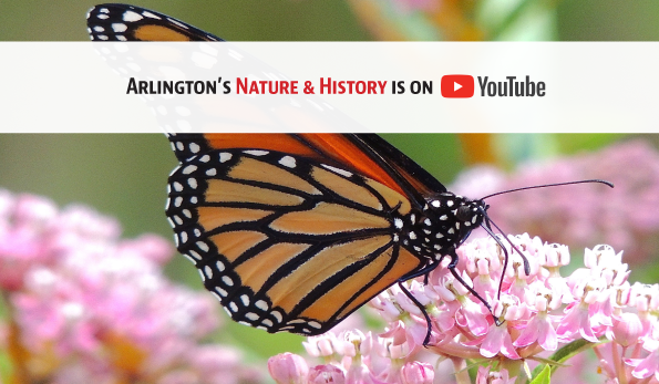 Arlington's Nature & History is on YouTube