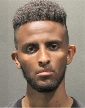 Mugshot of suspect