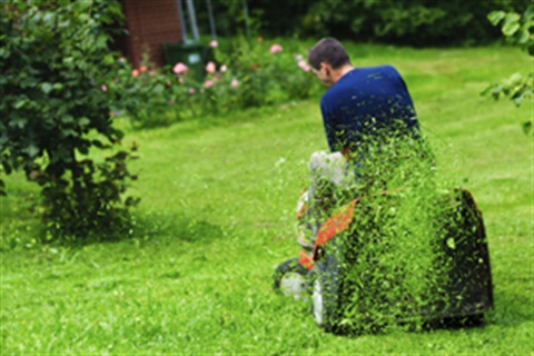 Person mowing a lawn with a ride on mower