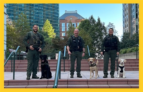 k9 uniforms