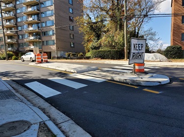 S Arlington Ridge Rd - Refuge Median - Nov 2023