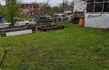 Green yard before rain garden installed.