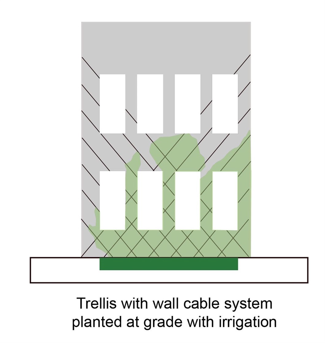 greenwall-graphic-trellis-w-cable-system.jpg