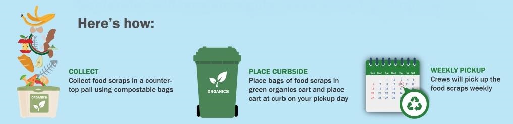 food scraps system